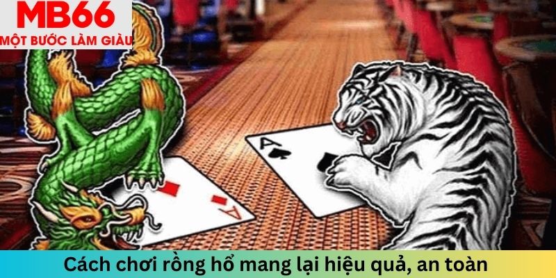 Cách chơi rồng hổ mang lại hiệu quả, an toàn 