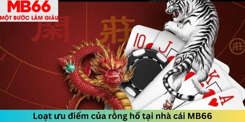 Loạt ưu điểm của rồng hổ tại nhà cái 